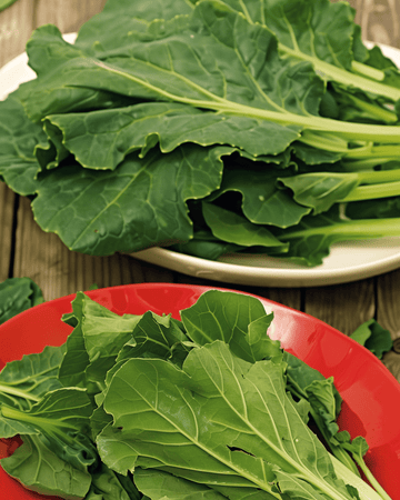 Komatsuna Mustard Spinach zaden (Brassica rapa) – groente