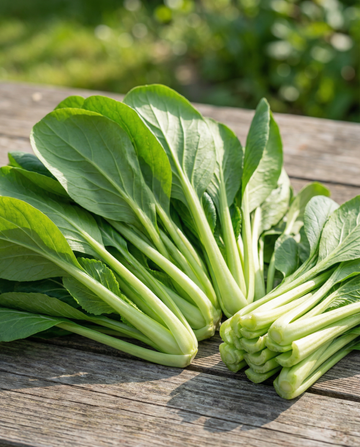 Komatsuna Mustard Spinach (Brassica rapa) – groentezaden van SeedsChoice