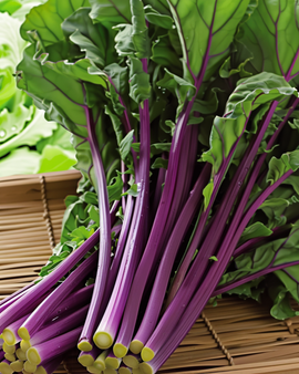 Hon Tsai Tai-zaden Brassica Rapa eenjarig paarse stelen