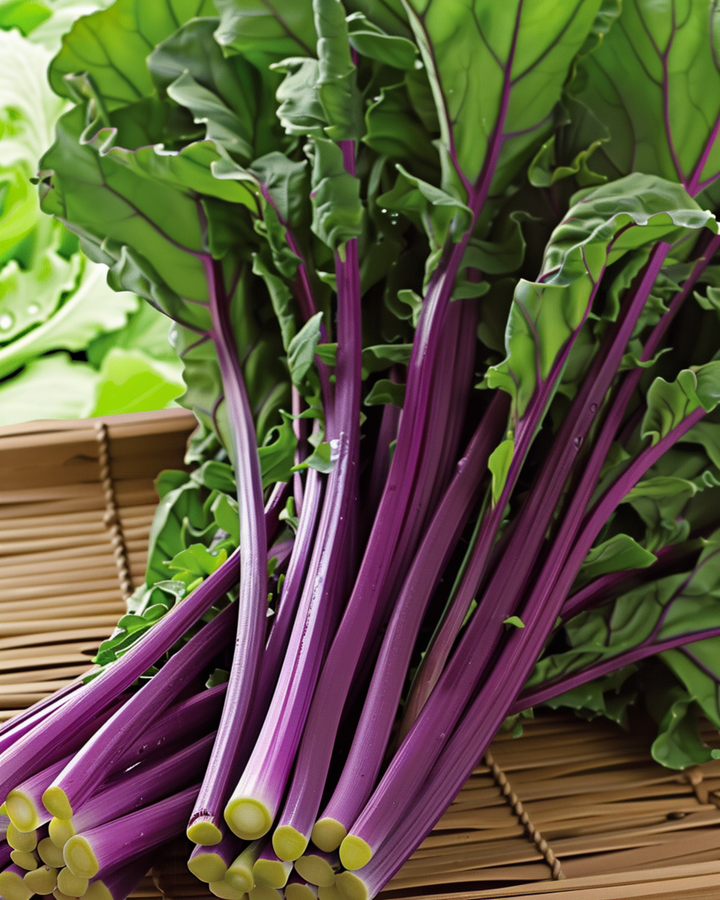 Hon Tsai Tai Purple Stems zaden (Brassica rapa) – eenjarig