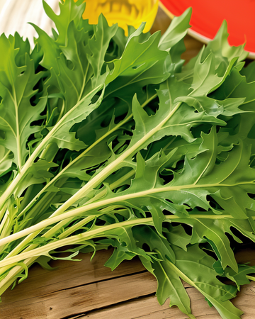 Mizuna zaden (Brassica rapa) – groente