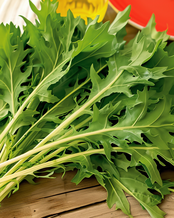 Mizuna zaden (Brassica rapa) – groente