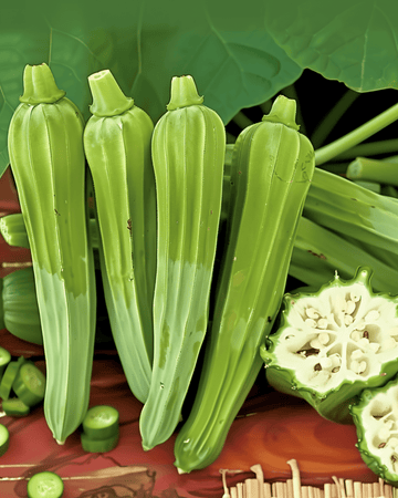 Okra Clemson Spineless Heirloom zaden (Abelmoschus esculentus) – eenjarige groente