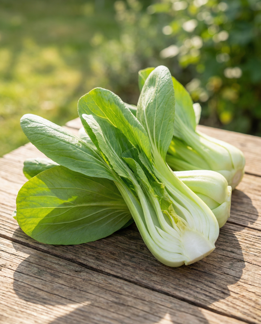 Pak Choi (Brassica chinensis) – eenjarige groentezaden van SeedsChoice