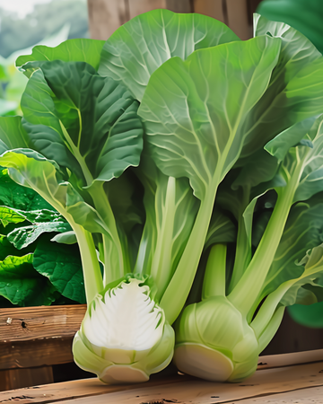 Pak Choi Green F1 zaden (Brassica pekinensis) – eenjarige groente