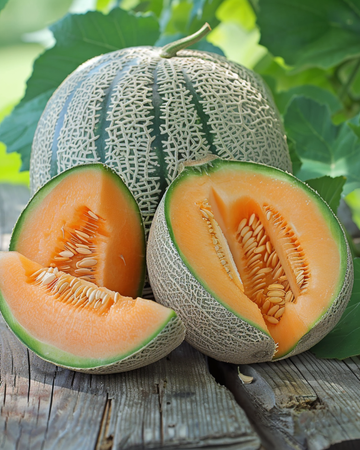 Meloen Zatta Honeydew zaden (Cucumis melo) – groente