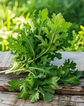 Wilde rucola-zaden Diplotaxis Tenuifolia meerjarige groente