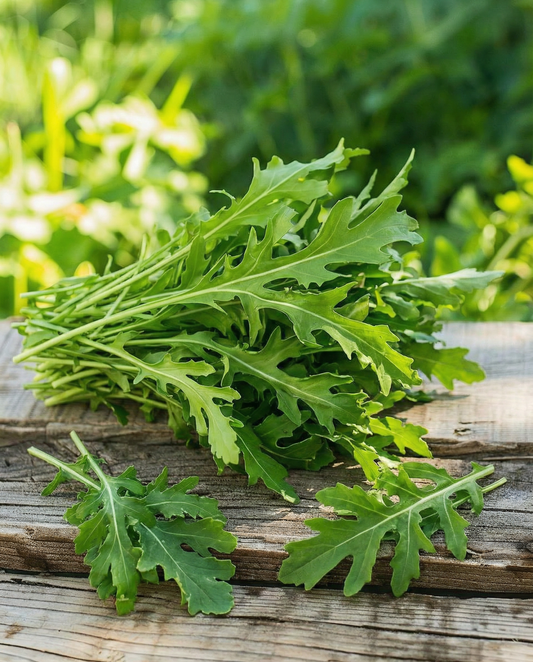 Wilde rucola (Diplotaxis tenuifolia) – meerjarige groentezaden van SeedsChoice