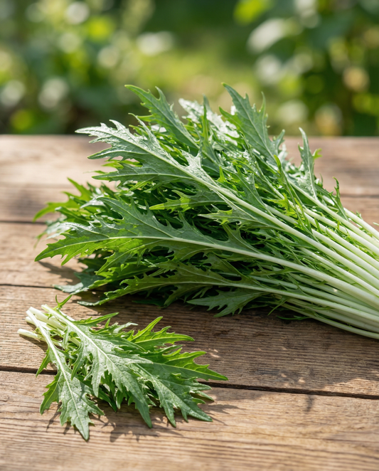 Mizuna Leafy (Brassica rapa) – groentezaden van SeedsChoice
