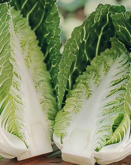 Chinese koolzaden Brassica Rapa Pe Tsai groente