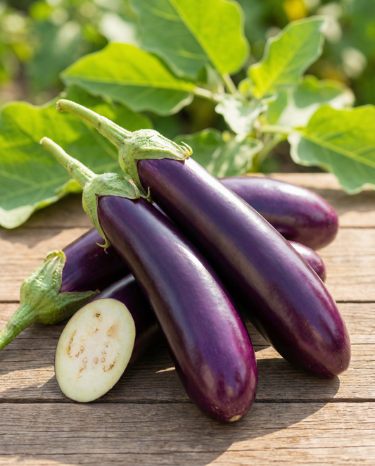 Aubergine Violetta Lunga Medium Early (Solanum melongena) – groentezaden van SeedsChoice