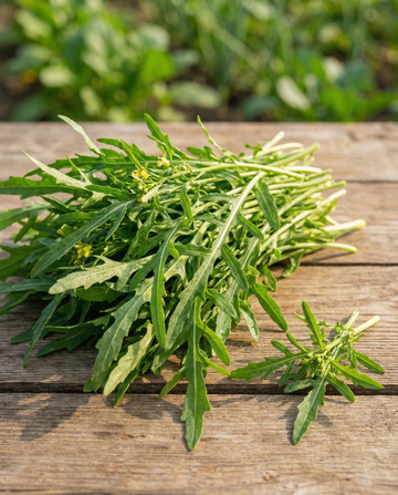 Wilde rucola bladgroen (Diplotaxis tenuifolia) – meerjarige groentezaden van SeedsChoice