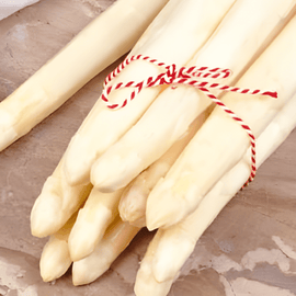Aspergezaden Argenteuil Asparagus Officinalis meerjarig ras