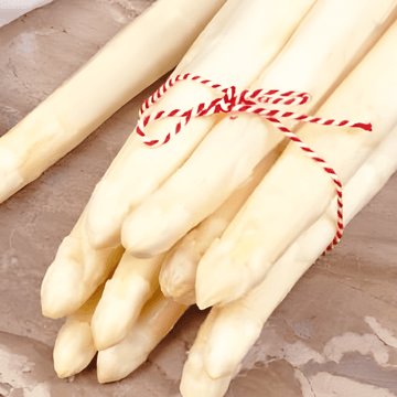 Argenteuil zaden (Asparagus officinalis) – meerjarig