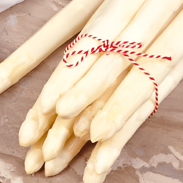 Argenteuil zaden (Asparagus officinalis) – meerjarig