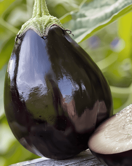 Auberginezaden Black Beauty Solanum Melongena eenjarig ras
