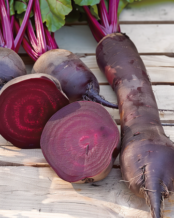 Rode biet Cylindra zaden (Beta vulgaris) – eenjarige groente