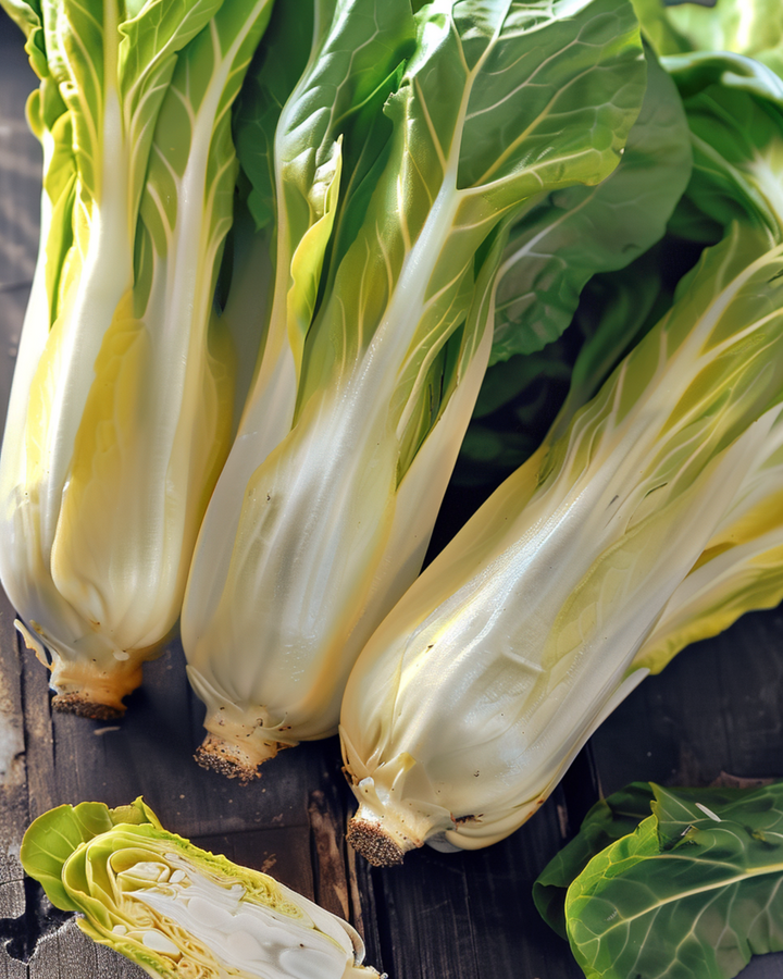 Brusselse cichorei Videna zaden (Cichorium intybus) – tweejarige groente
