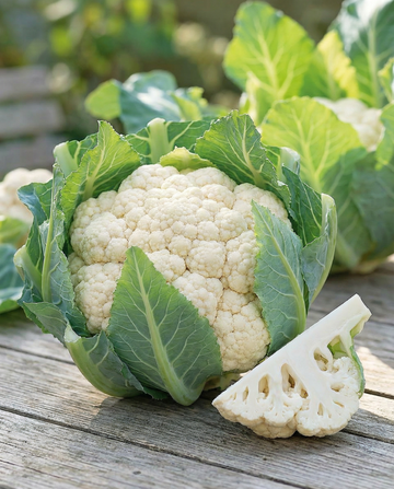 Bloemkool Walcheren Winter 5 oogst (Brassica oleracea) – tweejarige groentezaden van SeedsChoice
