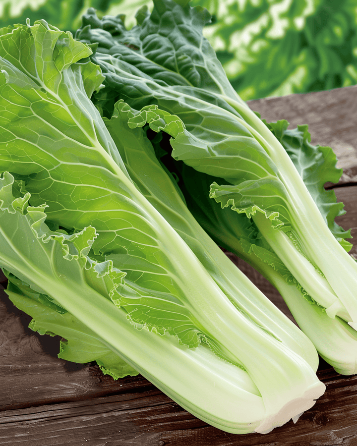 Chinese Kool Granaat Michihili zaden (Brassica pekinensis) – eenjarige groente