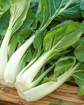 Japanse paksoizaden Brassica Campestris eenjarig Taisai-ras