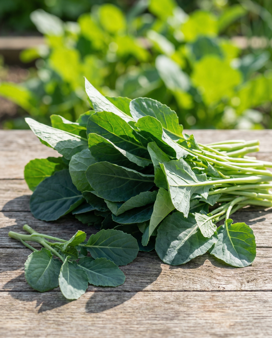 Bladgroenten Blauwe Groninger (Brassica napus) – eenjarige groentezaden van SeedsChoice