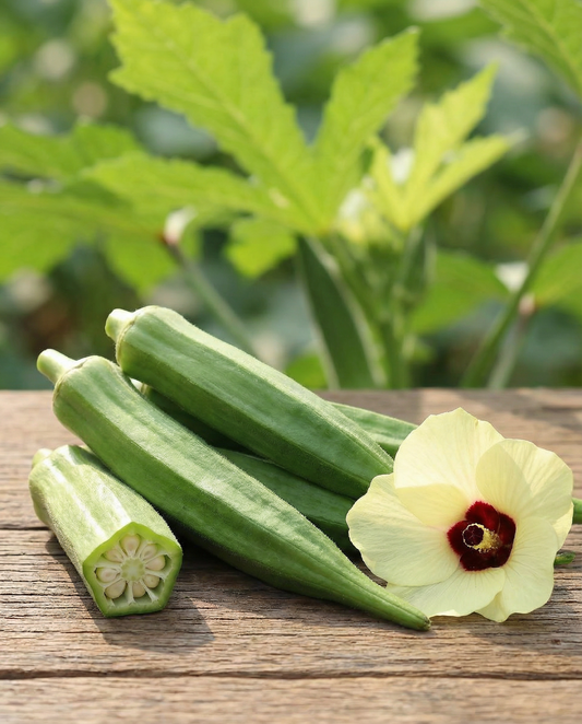 Okra Clemson Spineless (Abelmoschus esculentus) – eenjarige groentezaden van SeedsChoice