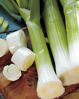Preizaden Winterreuzen 3 Allium Porrum eenjarig ras winteroogst
