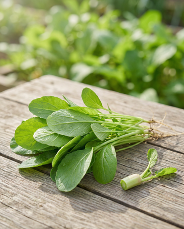 Raapblad (Brassica rapa) – eenjarige groentezaden van SeedsChoice