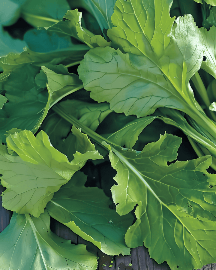 Namenia bladgroente zaden (Brassica rapa) – eenjarige groente
