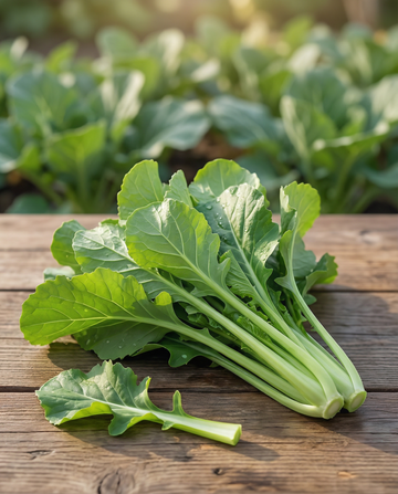 Namenia bladgroente (Brassica rapa) – eenjarige groentezaden van SeedsChoice