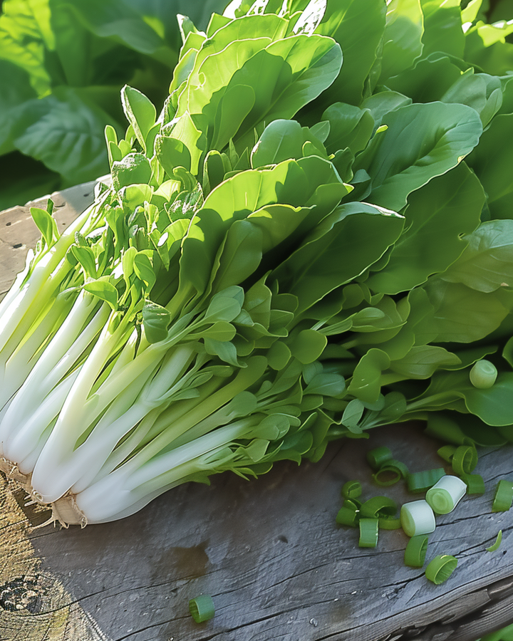 Bladsla Witte Dunsel Salad Greens zaden (Lactuca sativa) – eenjarige groentesoort