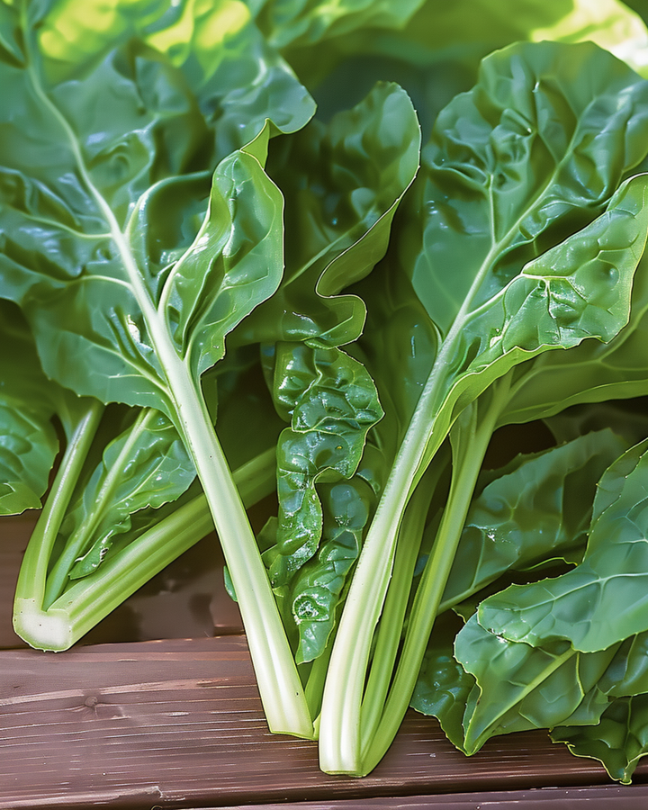Snijbiet Common Green zaden (Beta vulgaris) – eenjarige groente