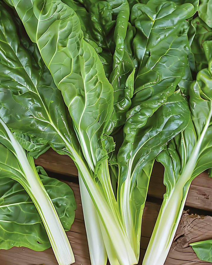 Snijbiet Lucullus zaden (Beta vulgaris) – eenjarige groente