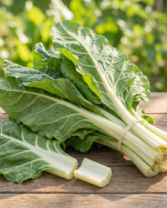 Snijbiet Lucullus (Beta vulgaris) – eenjarige groentezaden van SeedsChoice