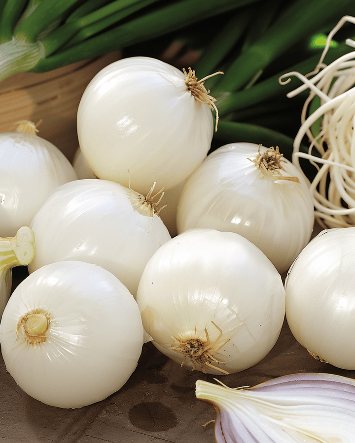 Inmaakui De Barletta zaden (Allium cepa) – eenjarig groente