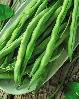 Stamslaboonzaden Domino Phaseolus Vulgaris eenjarig 25g