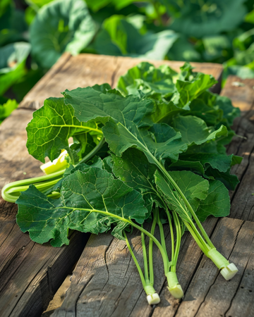 Raapstelen Namenia Bladmoes 50g zaden (Brassica rapa) – eenjarige groente