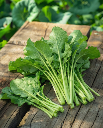 Meiraapbladeren Namenia Bladmoes 50g (Brassica rapa) – eenjarige groentezaden van SeedsChoice