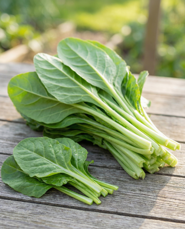 Snijbiet Leafy Green 50g (Beta vulgaris) – groentezaden van SeedsChoice