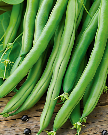 Klim-stamslaboon Cobra 100g zaden (Phaseolus vulgaris) – eenjarige klimplant