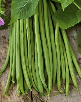 Stamslabonenzaden Nautica Phaseolus Vulgaris eenjarig 100g