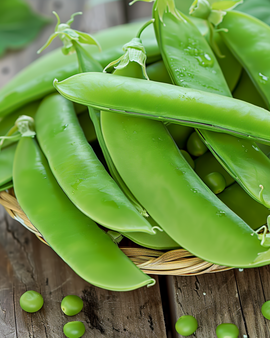Peulzaden Pisum Sativum Oregon Sugar Pod eenjarig 100g
