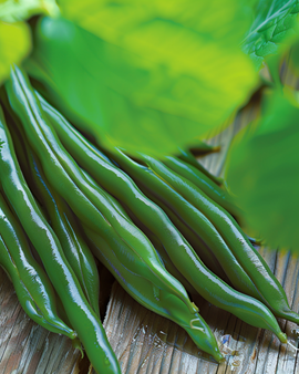 Stamslabonenzaden Miracle Phaseolus Vulgaris eenjarig 250g