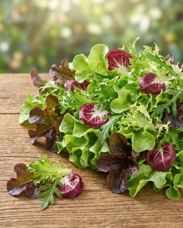 Franse Mesclun salade zaden – biologisch eenjarig mengsel