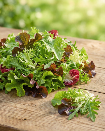Franse Mesclun salade – biologisch eenjarig mengsel zaden van SeedsChoice