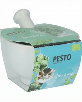 Basilicum zaden biologisch Ocimum Basilicum kruid vijzelset