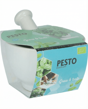 Basilicum Mortar Set zaden (Ocimum basilicum) – biologisch kruid