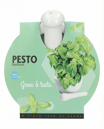 Ocimum basilicum – Basilicum vijzel set gekweekt uit zaad