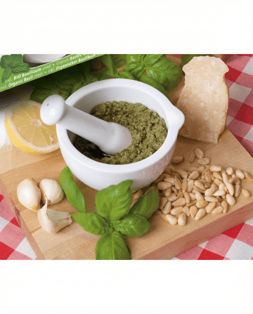 Basilicum Mortar Set (Ocimum basilicum) – biologische kruidenzaden van SeedsChoice